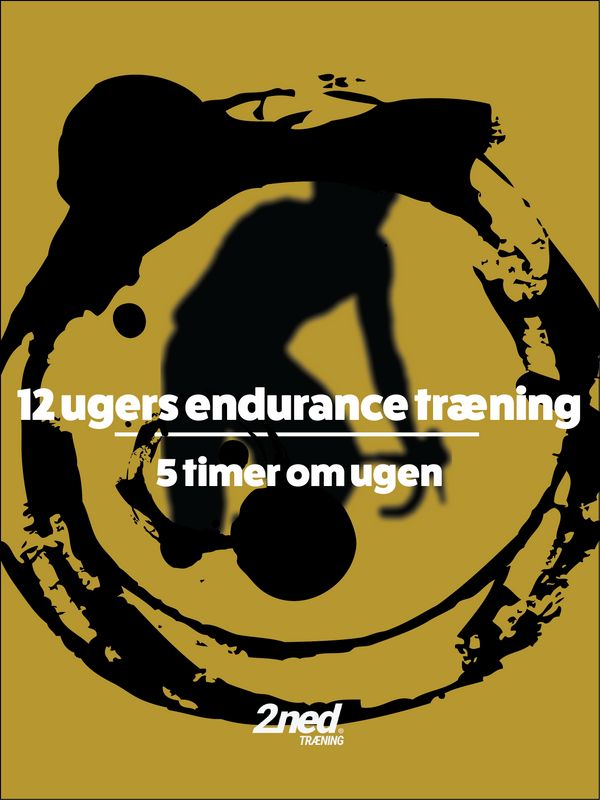 12 ugers endurance træning - 5 timer ugentligt